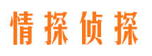 青白江市私家侦探